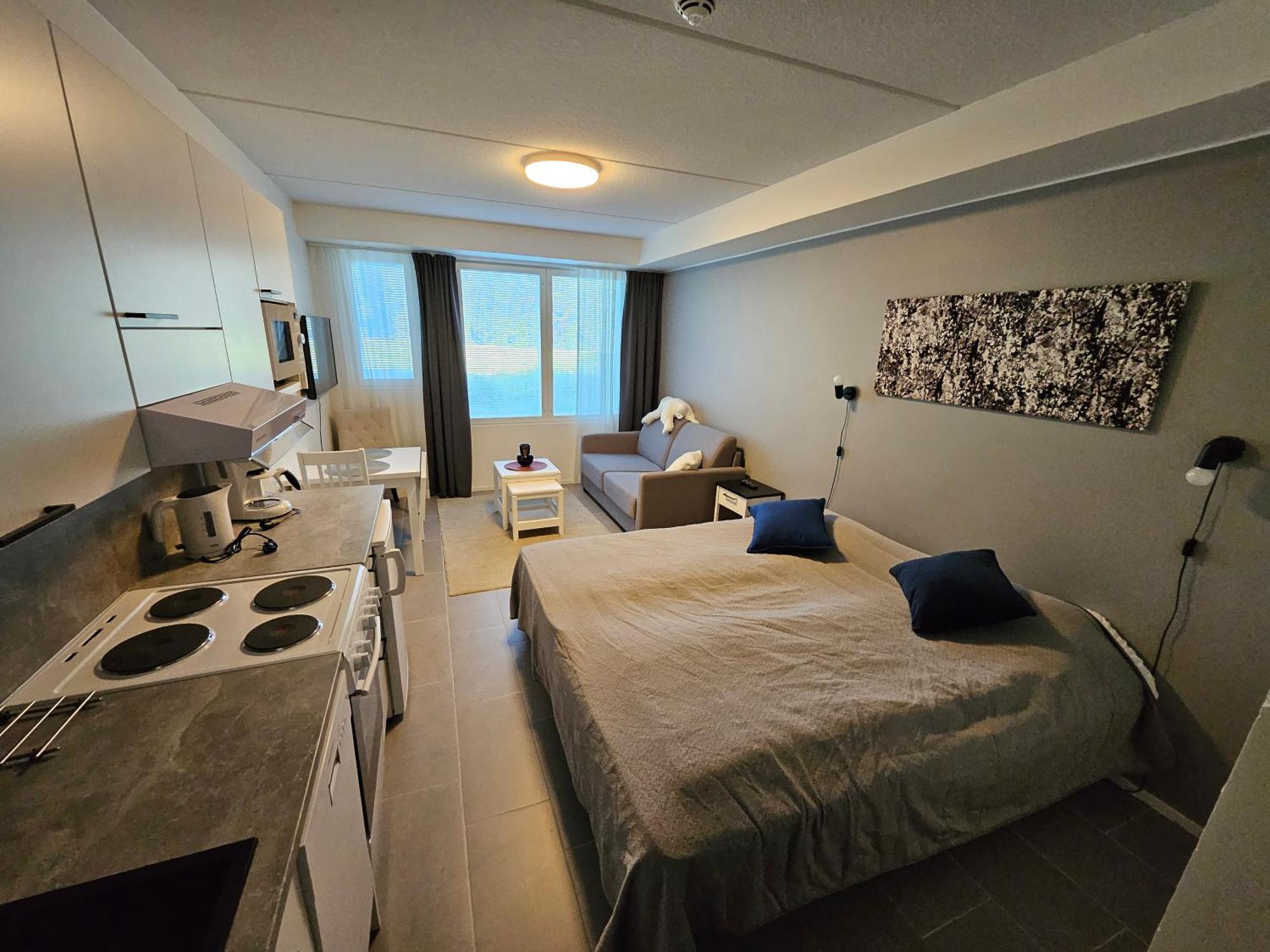 Levillenet Studio Apartment At Levi City Centre Exterior foto